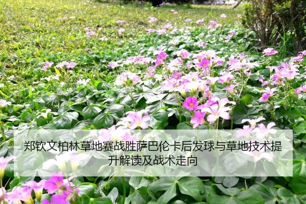 zheng-qin-wen-bo-lin-cao-di-sai-zhan-sheng-sa-ba-lun-ka-hou-fa-qiu-yu-cao-di-ji-shu-ti-sheng-jie-du-ji-zhan-shu-zou-2-581.jpg